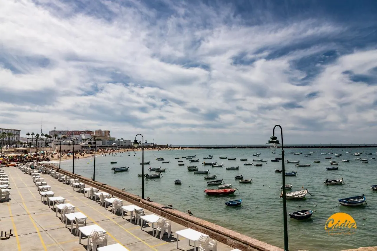 Апартаменты Green Home By Cadiz Time